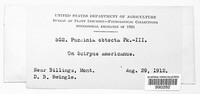 Image Associated With the Occurence